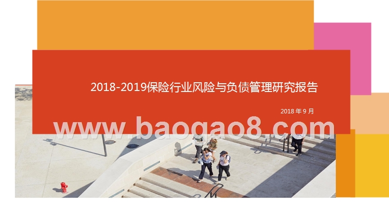 2018-2019保险行业风险与负债管理研究报告.pptx_第1页