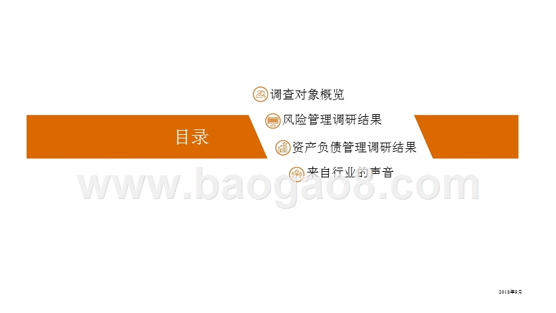 2018-2019保险行业风险与负债管理研究报告.pptx_第3页