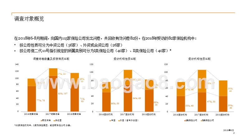 2018-2019保险行业风险与负债管理研究报告.pptx_第5页