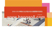 2018-2019保险行业风险与负债管理研究报告.pptx