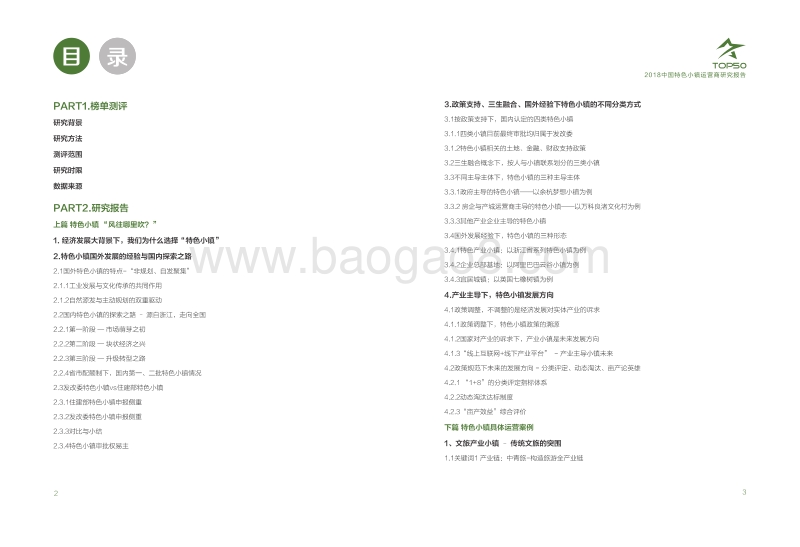 2018中国特色小镇运营商TOP50研究报告.pdf_第3页