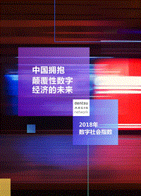 2018年数字社会指数.pdf