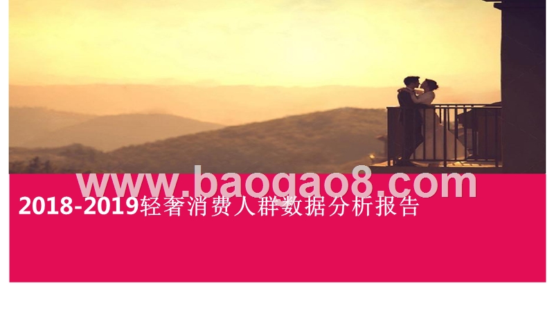 2018-2019轻奢消费人群数据分析报告.pptx_第1页