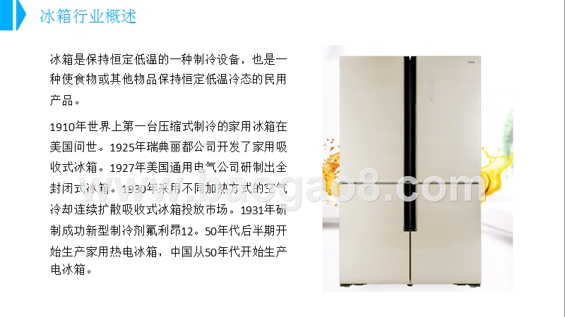 2018-2019中国冰箱行业研究报告.pptx_第4页