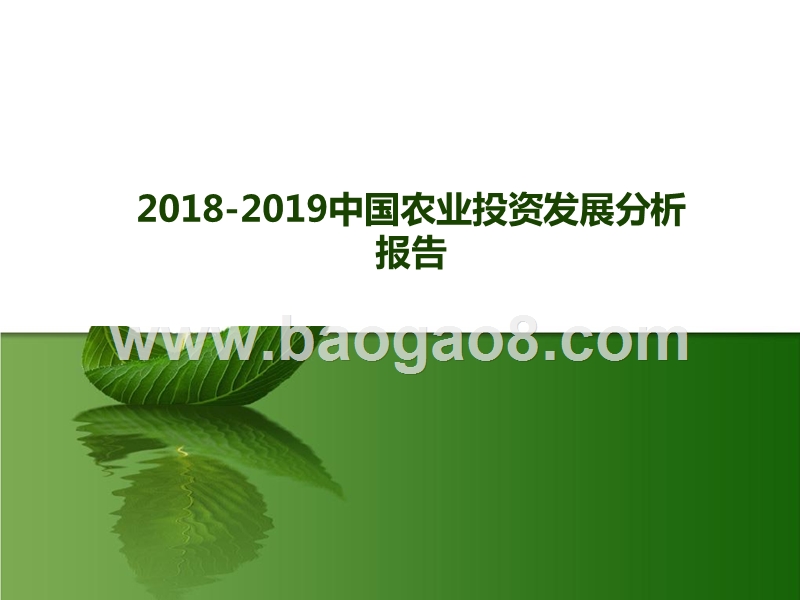 2018-2019中国农业投资发展分析报告.pptx_第1页