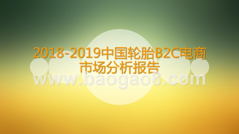 2018-2019中国轮胎B2C电商市场分析报告.pptx_第1页