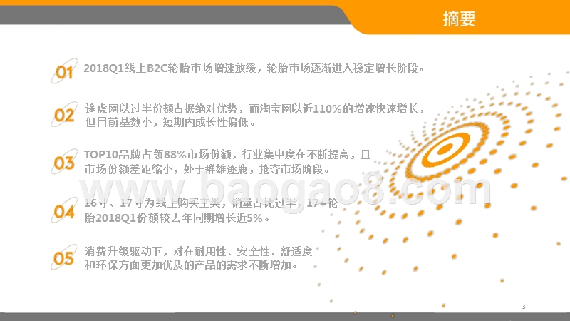 2018-2019中国轮胎B2C电商市场分析报告.pptx_第2页