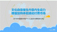 2018-2019中国数字用户个人会员付费需求分析报告.pdf