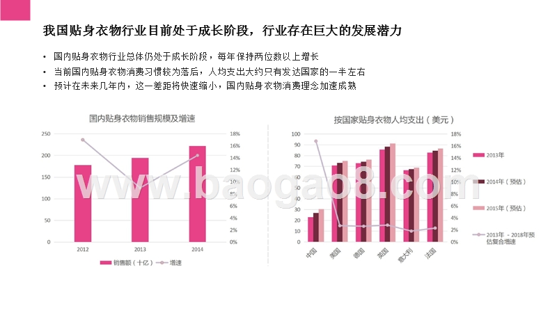2018-2019女性内衣消费趋势分析报告.pptx_第2页