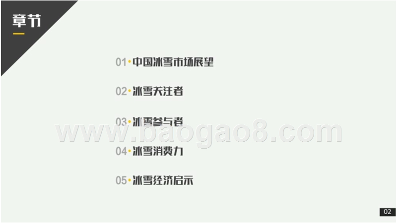 2018-2019年中滑雪市场研究报告.pptx_第2页
