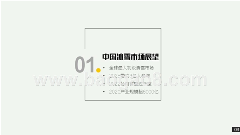 2018-2019年中滑雪市场研究报告.pptx_第3页