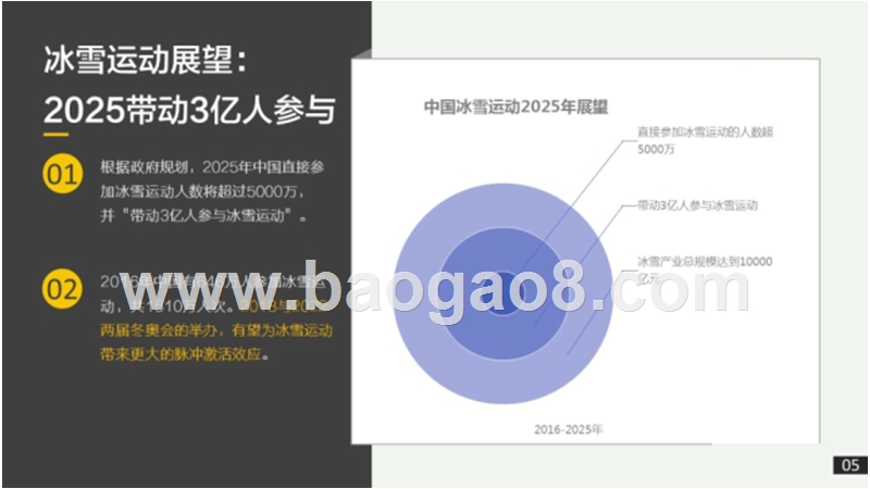 2018-2019年中滑雪市场研究报告.pptx_第5页