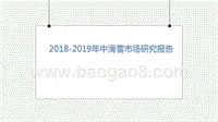 2018-2019年中滑雪市场研究报告.pptx