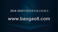 2018-2019中国消费市场分析报告.pptx