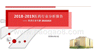 2018-2019医药行业分析报告.pptx