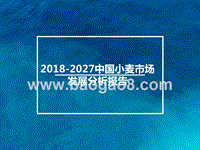 2018-2027中国小麦市场发展分析报告.pptx
