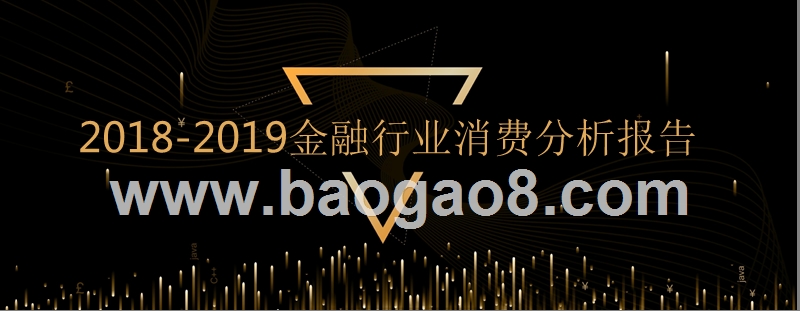 2018-2019金融行业消费分析报告.pptx_第1页