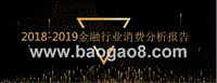 2018-2019金融行业消费分析报告.pptx