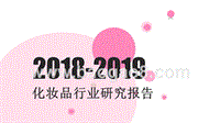 2018-2019化妆品行业研究报告.pptx