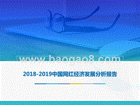 2018-2019中国网红经济发展分析报告.pptx