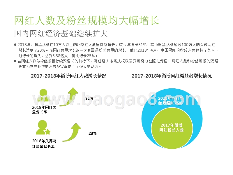 2018-2019中国网红经济发展分析报告.pptx_第4页