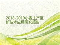 2018-2019小麦主产区新技术应用研究报告.pptx