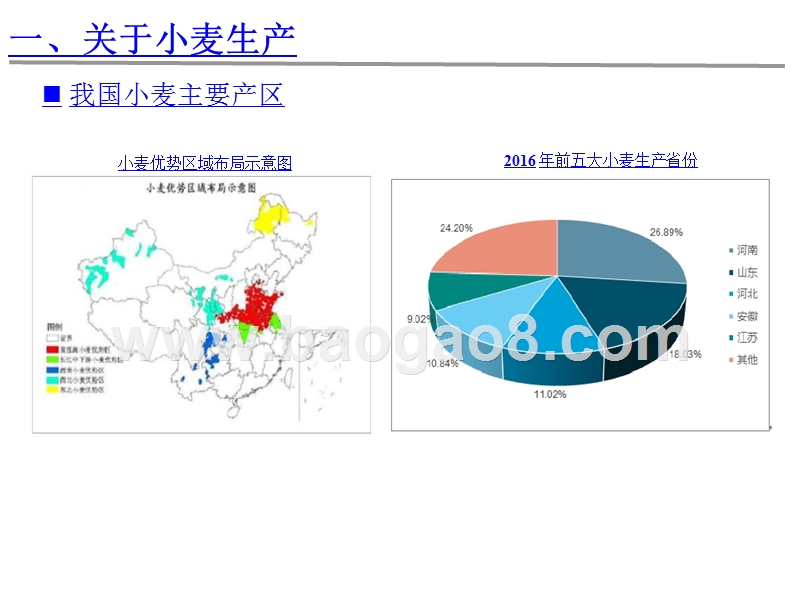 2018-2019小麦主产区新技术应用研究报告.pptx_第3页