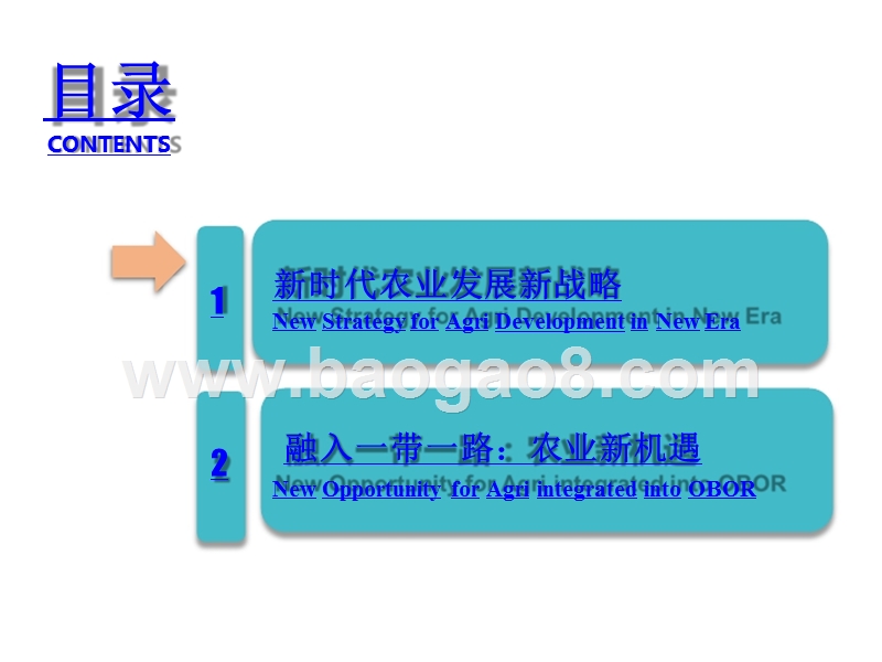 2018-2019“一带一路”框架下农业国家合作分析报告.pptx_第2页