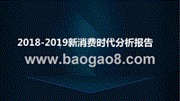 2018-2019新消费时代分析报告.pptx