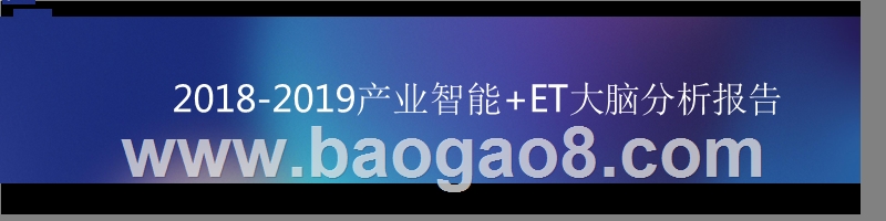 2018-2019产业智能+ET大脑分析报告.pptx_第1页
