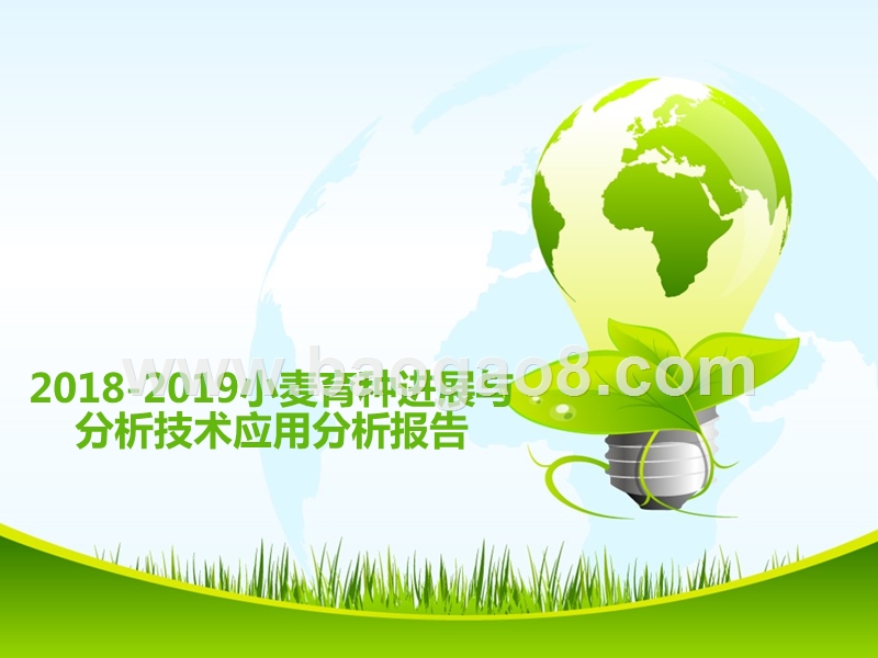 2018-2019小麦育种进展与分析技术应用分析报告.pptx_第1页