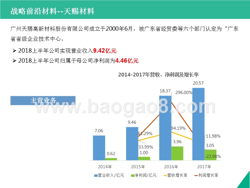 2018-2019广东省重点新材料项目分析报告.pptx_第2页