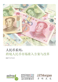 人民币系列：跨境人民币市场准入方案与改革.pdf