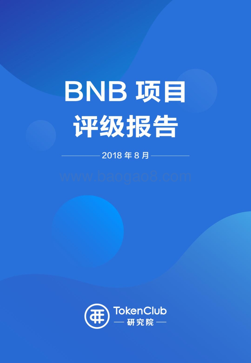 BNB项目评级报告.pdf_第1页