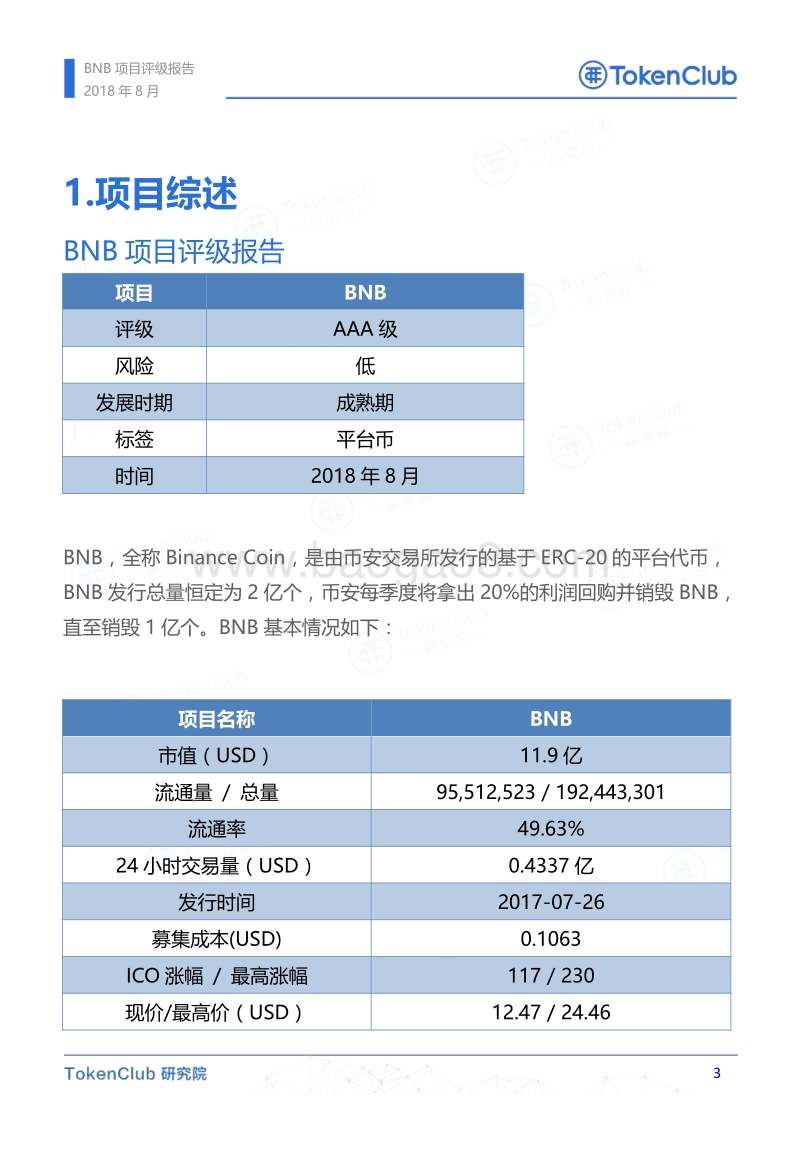 BNB项目评级报告.pdf_第4页
