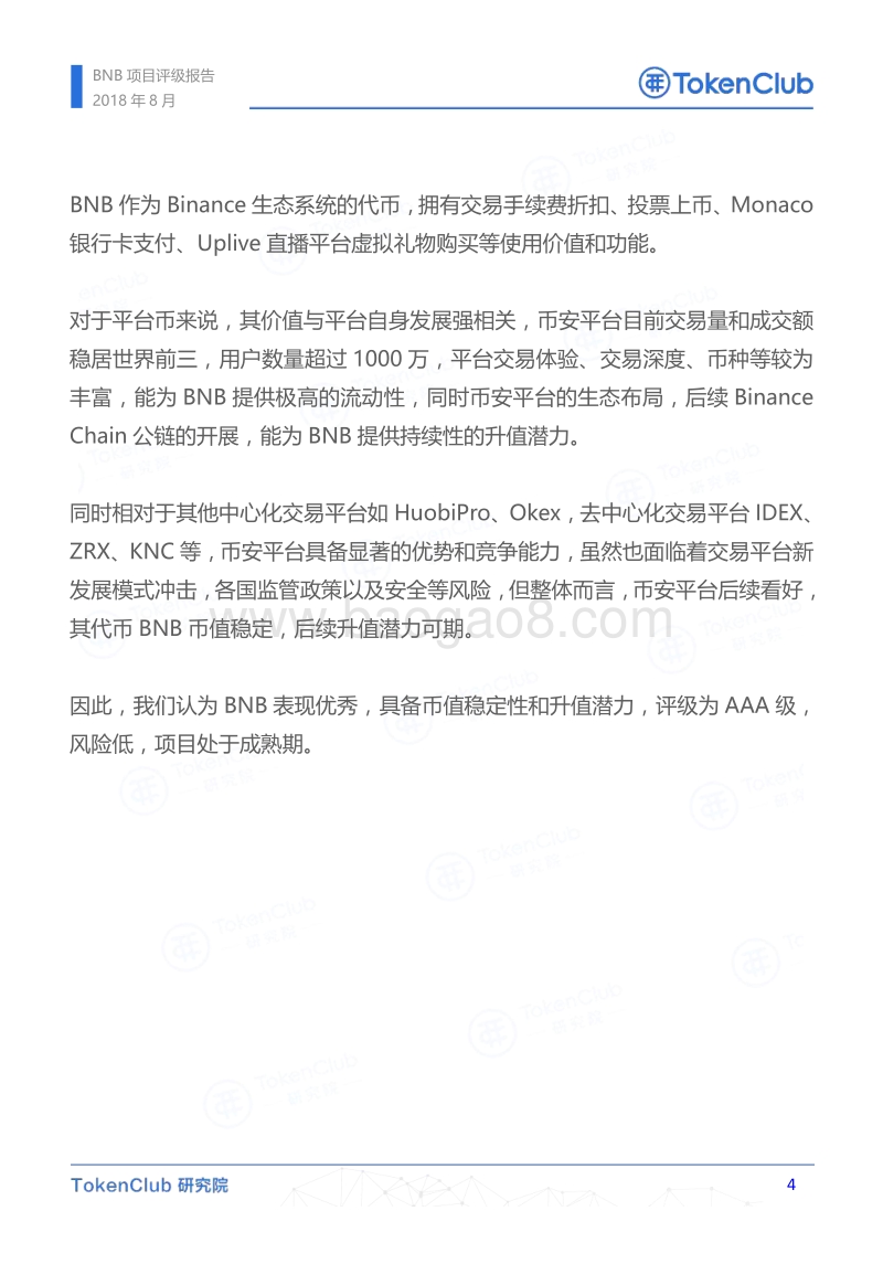 BNB项目评级报告.pdf_第5页