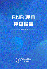 BNB项目评级报告.pdf