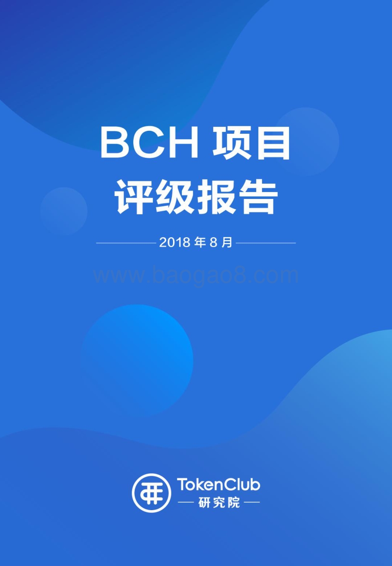 BCH项目评级报告.pdf_第1页