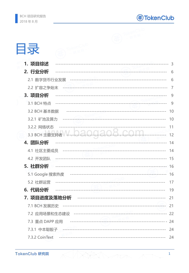 BCH项目评级报告.pdf_第2页