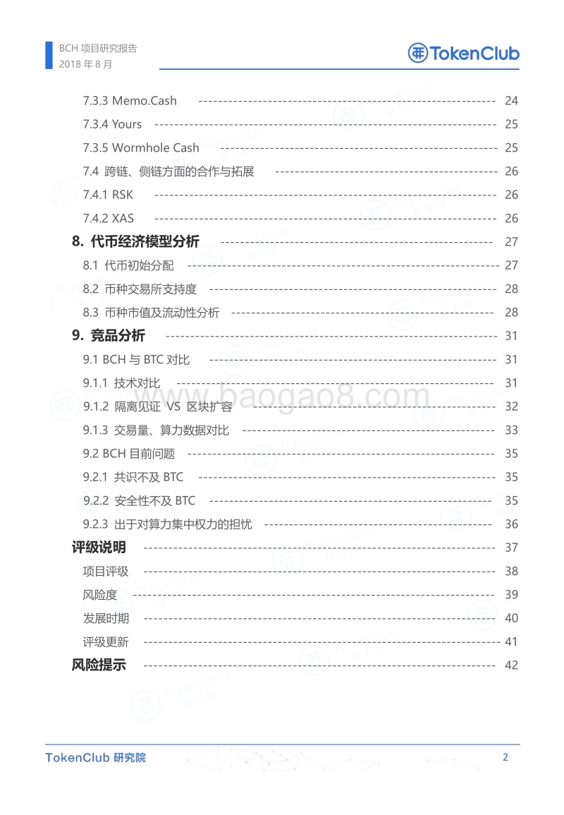 BCH项目评级报告.pdf_第3页