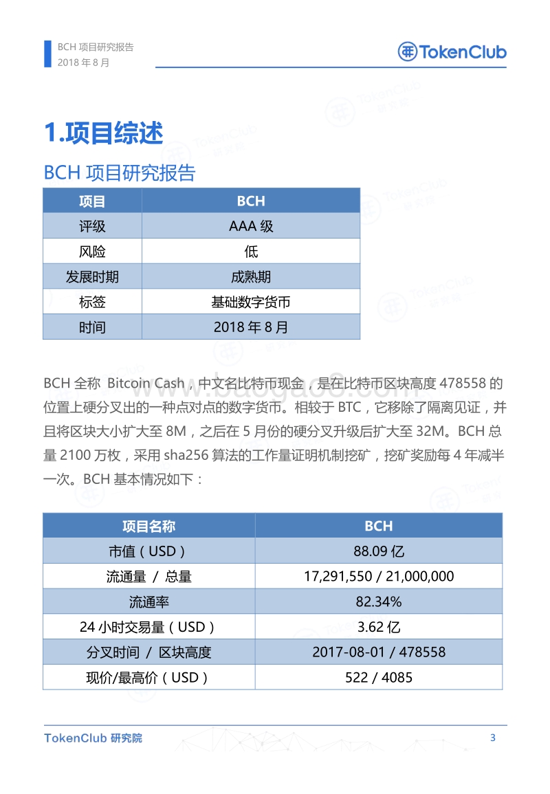 BCH项目评级报告.pdf_第4页