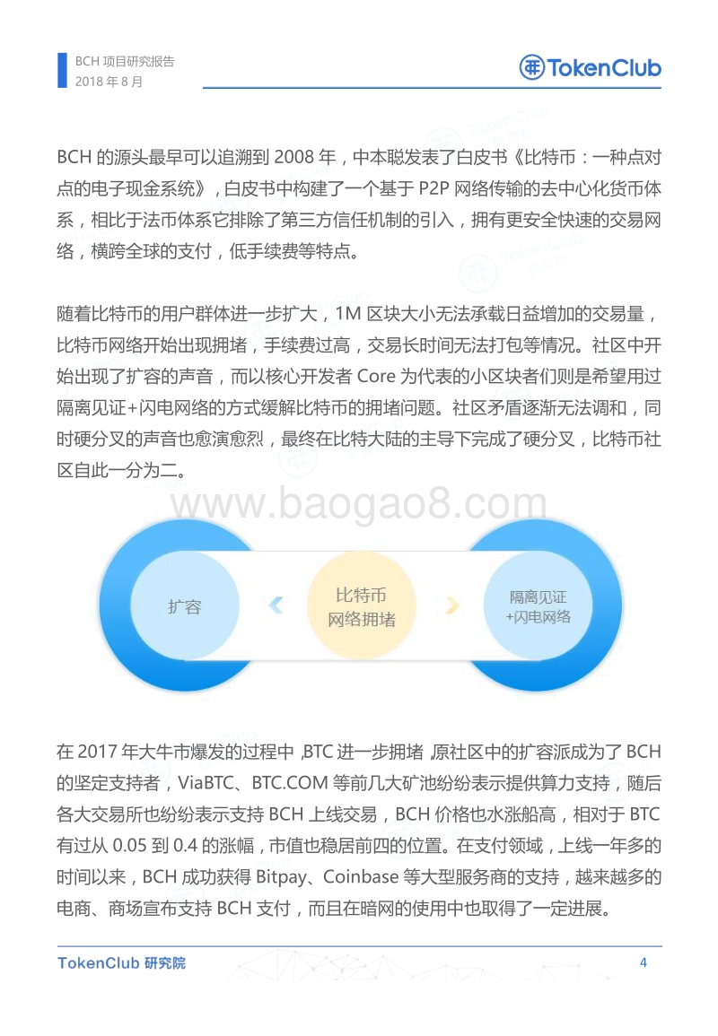 BCH项目评级报告.pdf_第5页