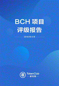 BCH项目评级报告.pdf
