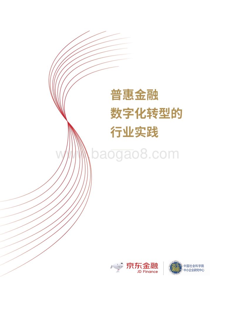 普惠金融数字化转型的行业实践.pdf_第1页