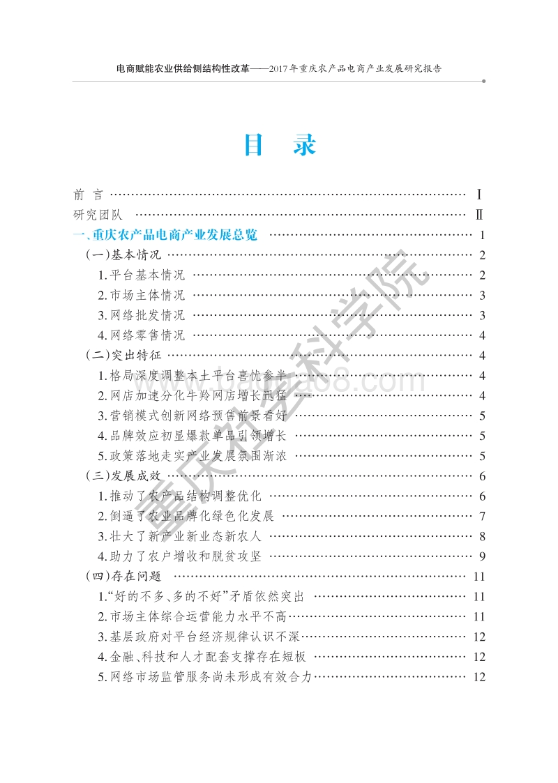 2017年重庆农产品电商产业发展研究报告.pdf_第4页