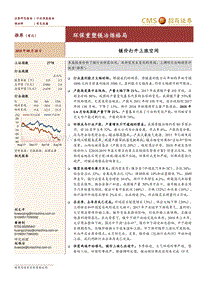 有色金属行业深度报告：环保重塑镁冶炼格局-镁价打开上涨空间.pdf