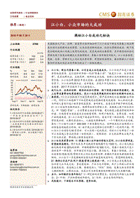 揭秘江小白成功之秘诀：江小白，小众市场的大成功.pdf