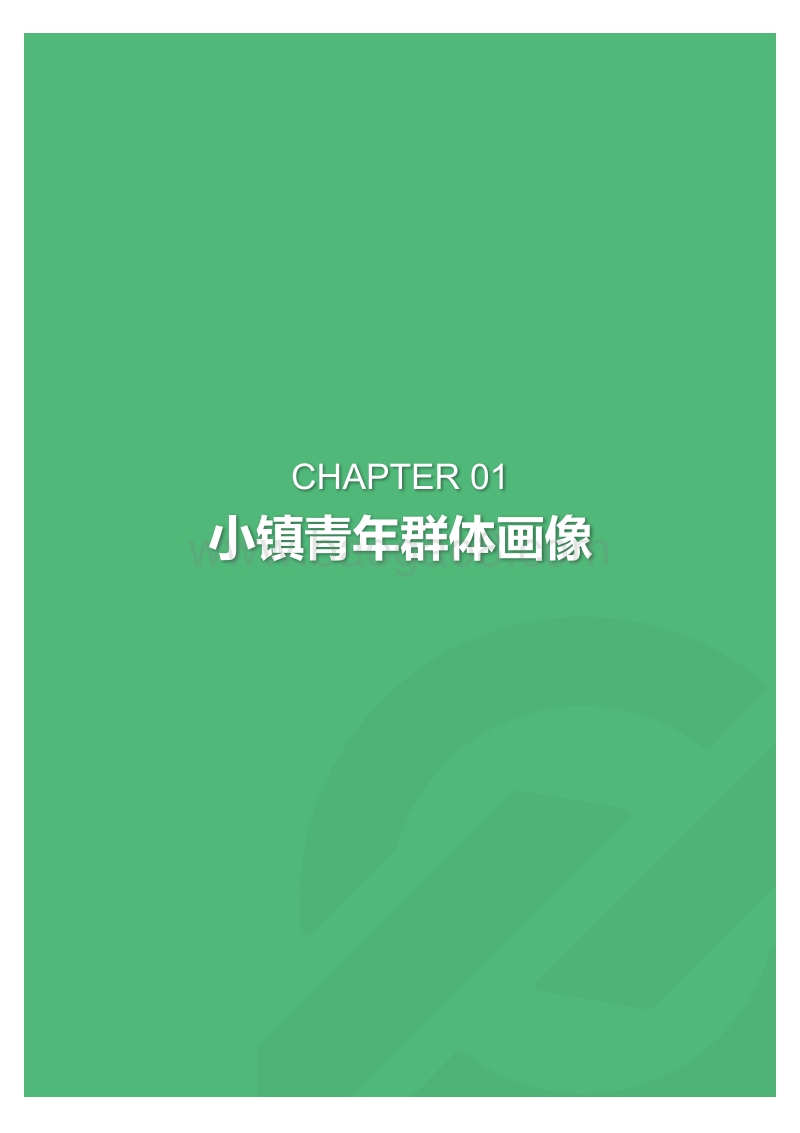 2018年8月小镇青年消费研究报告：我们不一样.pdf_第5页