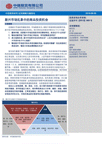 新兴市场乱象中的商品投资机会.pdf