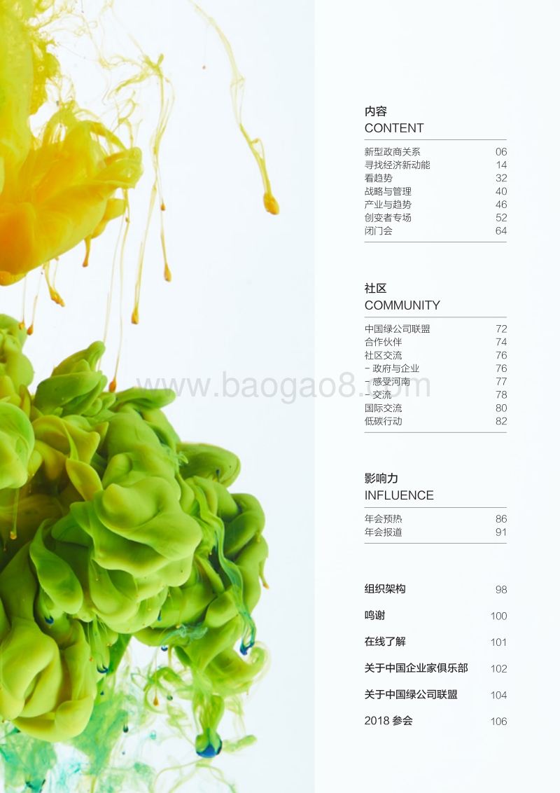 2017中国绿公司年会报告.pdf_第5页